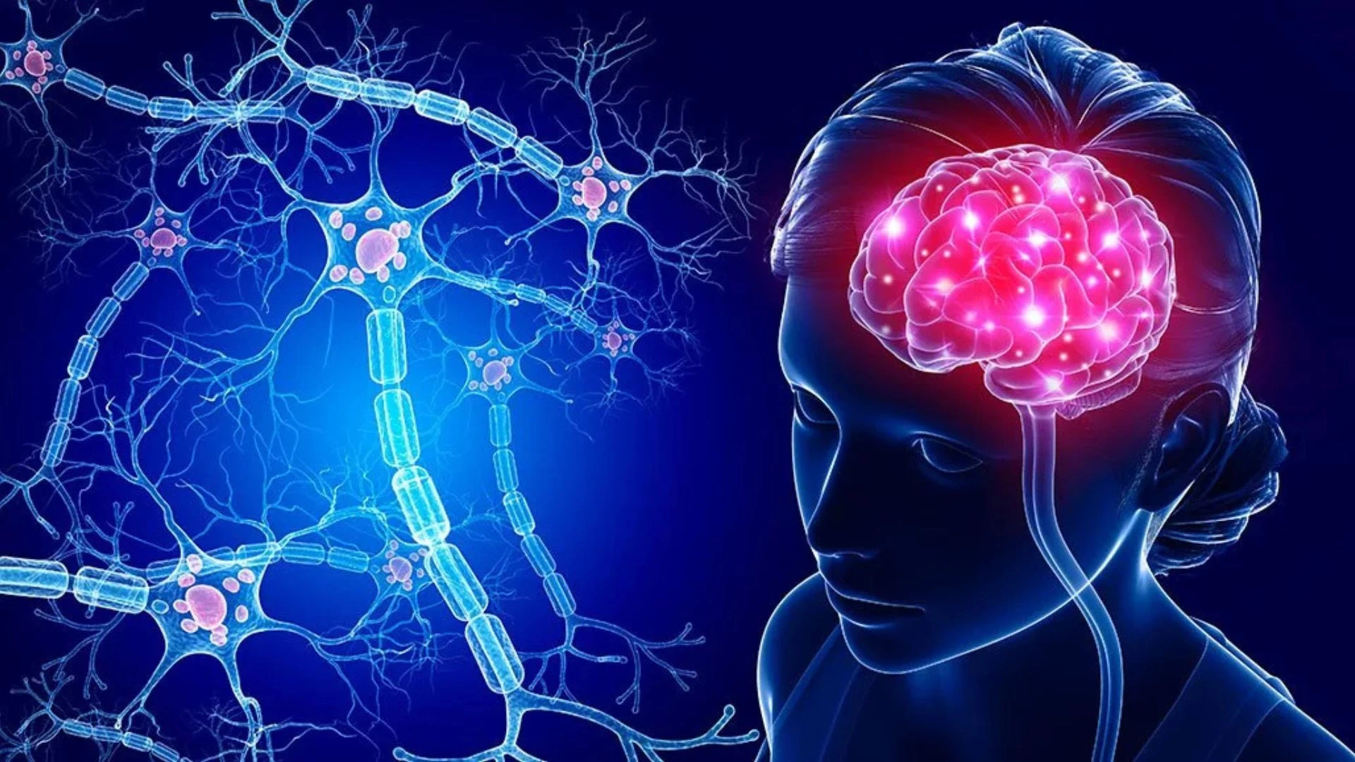  Ilustrasi neuron dan otak manusia, menampilkan bagaimana sel-sel saraf (neuron) saling terhubung dan mengirimkan sinyal listrik serta kimiawi dalam sistem saraf. Credit: Justdial